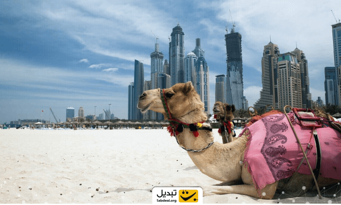قانون‌های کریپتویی امارات
