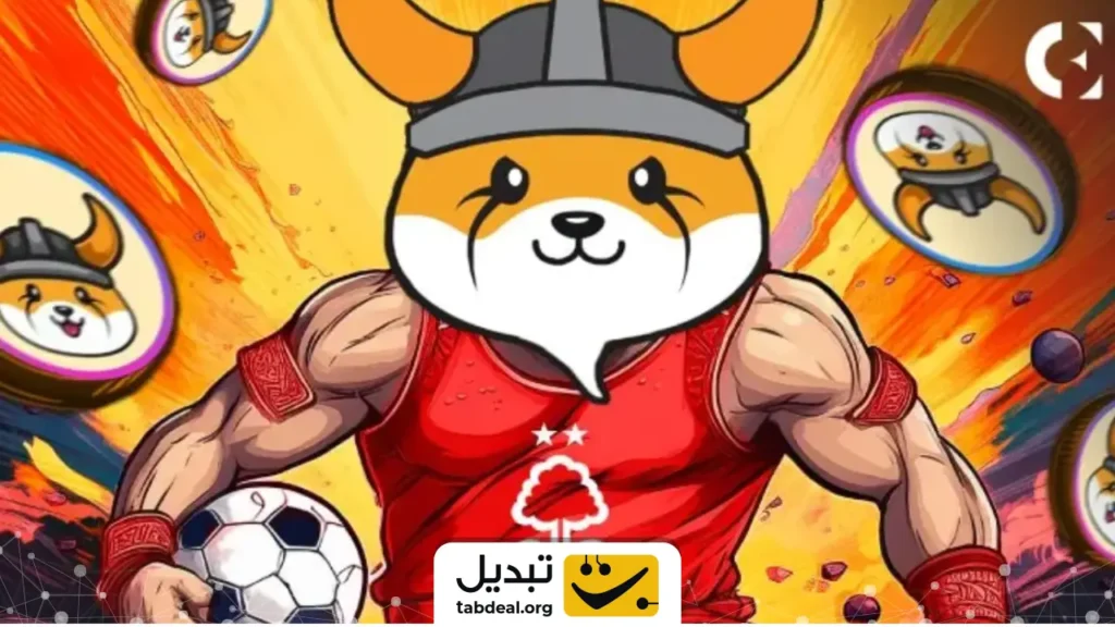 فلوکی در لیگ برتر فوتبال انگلیس