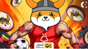 فلوکی در لیگ برتر فوتبال انگلیس