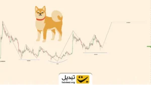 تحلیل قیمت شیبا: یک ریزش ۵۰ درصدی دیگر یا آغاز رالی ۴۲۰ درصدی؟