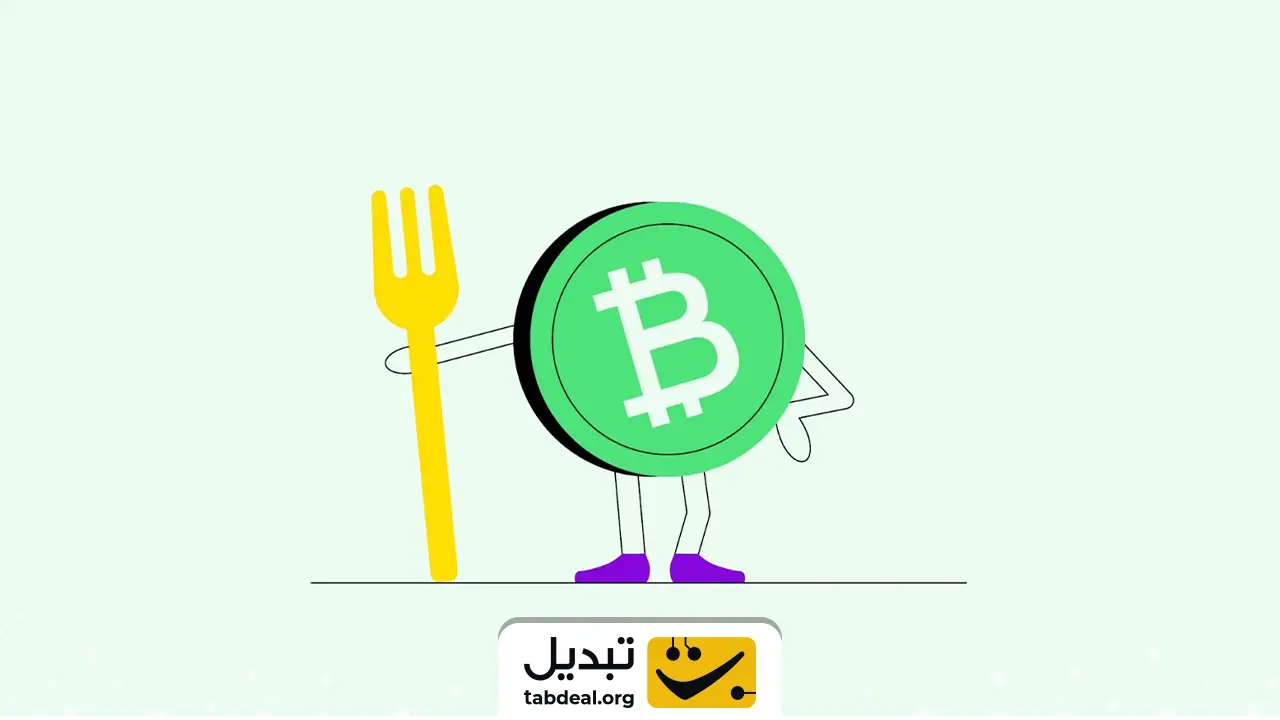 ارز دیجیتال بیت کوین کش چیست؟ معرفی و بررسی کاربرد آن!