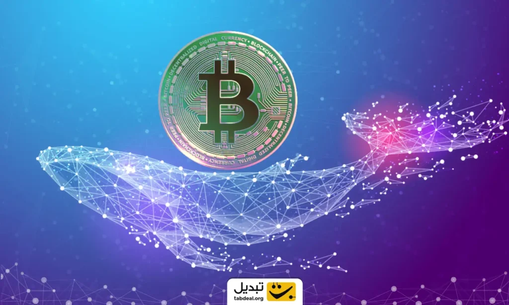 هولدرهای بزرگ دوباره در حال انباشت بیت کوین؛ معنی این چیست؟