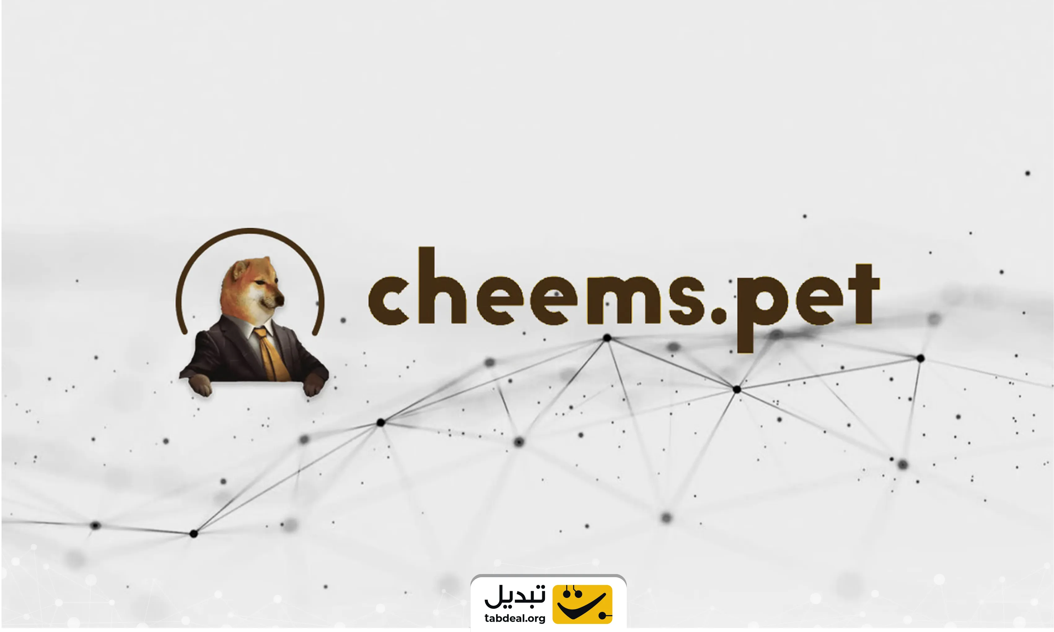 ارز دیجیتال چیمز CHEEMS چیست و چگونه آن را بخریم؟