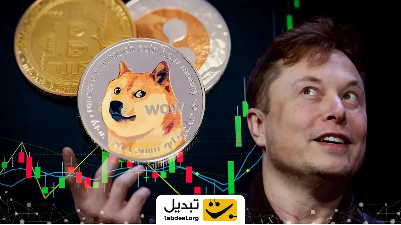 ایلان ماسک چه ارزهایی نگه میدارد؟