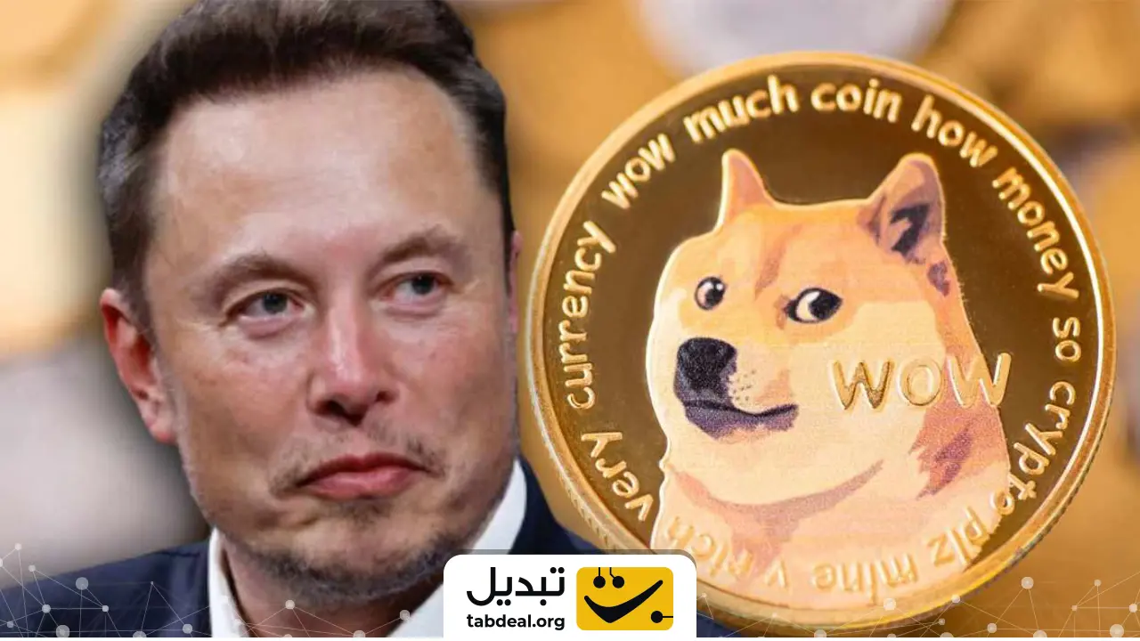 ایلان ماسک چه ارزهایی نگه می‌دارد؟