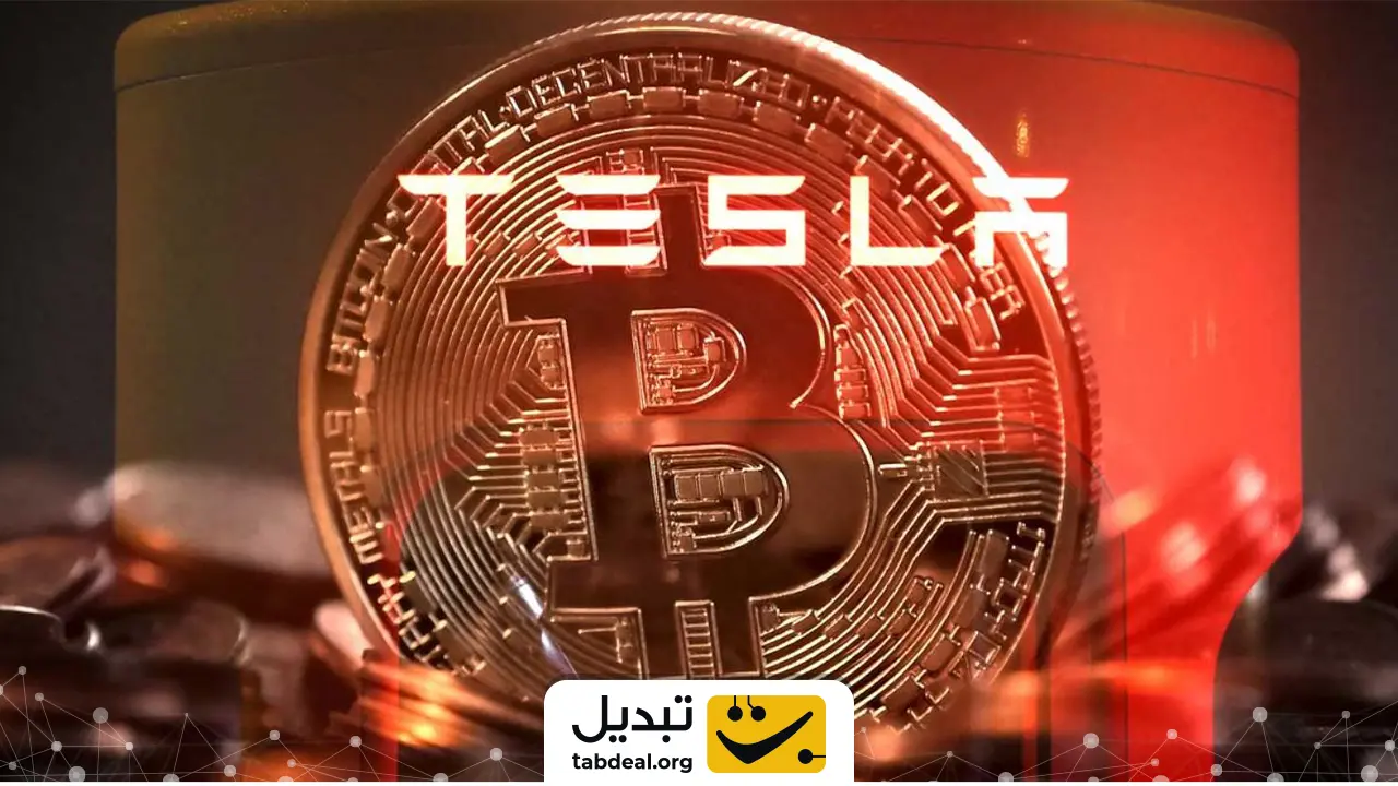 ایلان ماسک چه ارزهایی نگه می‌دارد؟