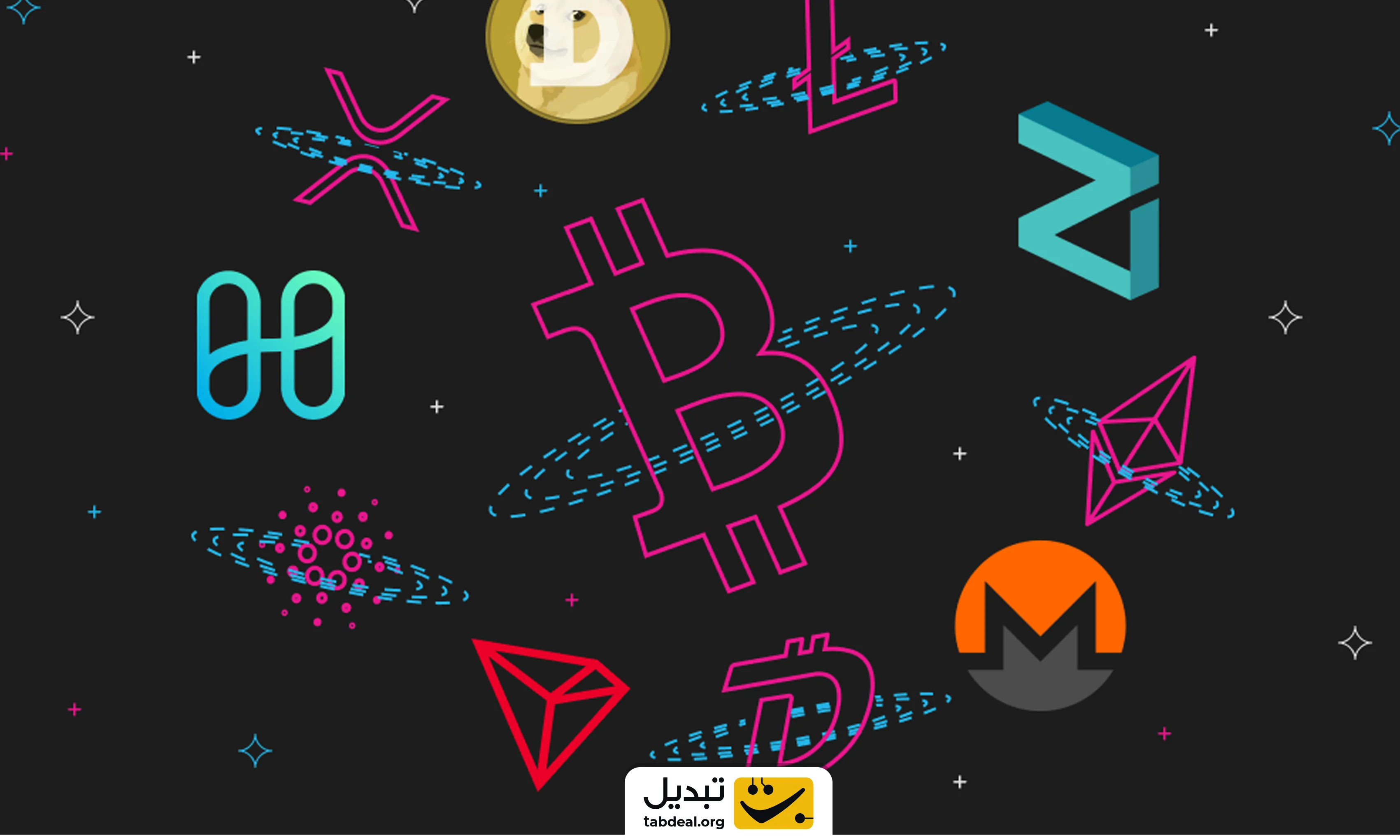 ماکسیمالیست بیت کوین کیست؟ همه جز بیت کوین سیاهی لشگر هستند!