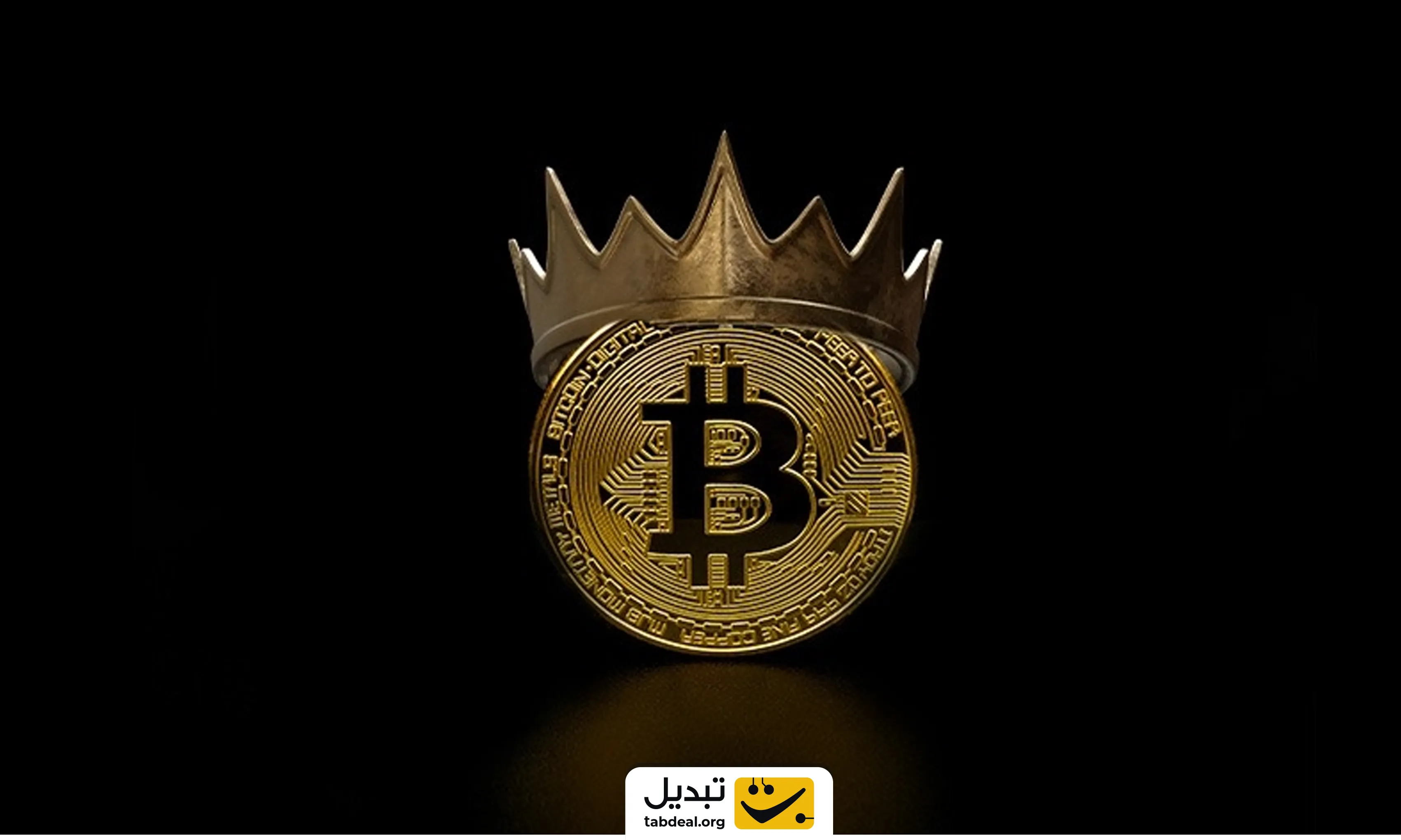 ماکسیمالیست بیت کوین کیست؟ همه جز بیت کوین سیاهی لشگر هستند!