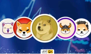 چگونه میم کوین بخریم؟ آموزش خرید میم کوین در صرافی تبدیل