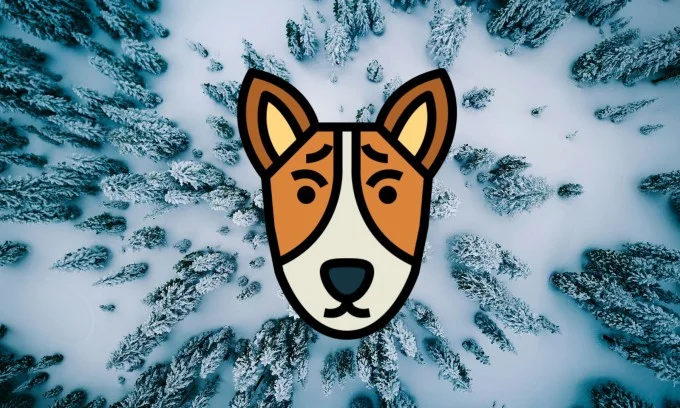 ارز دیجیتال Basenji چیست و چگونه آن را بخریم؟
