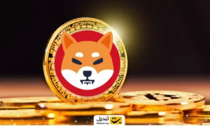 سیگنال رالی ۲۱۰ درصدی این میم‌ کوین را از دست ندهید