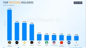 ۱۰ هولدر برتر بیت کوین در جهان (اینفوگرافی)