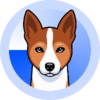 ارز دیجیتال Basenji چیست و چگونه آن را بخریم؟