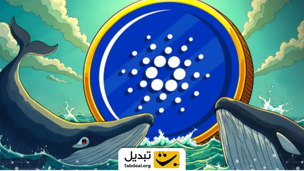 ۱۲۰،۰۰۰،۰۰۰ کاردانو فقط در ۲ روز: نهنگها آماده چه میشوند؟