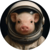 ارز دیجیتال Moonpig چیست و چگونه آن را بخریم؟