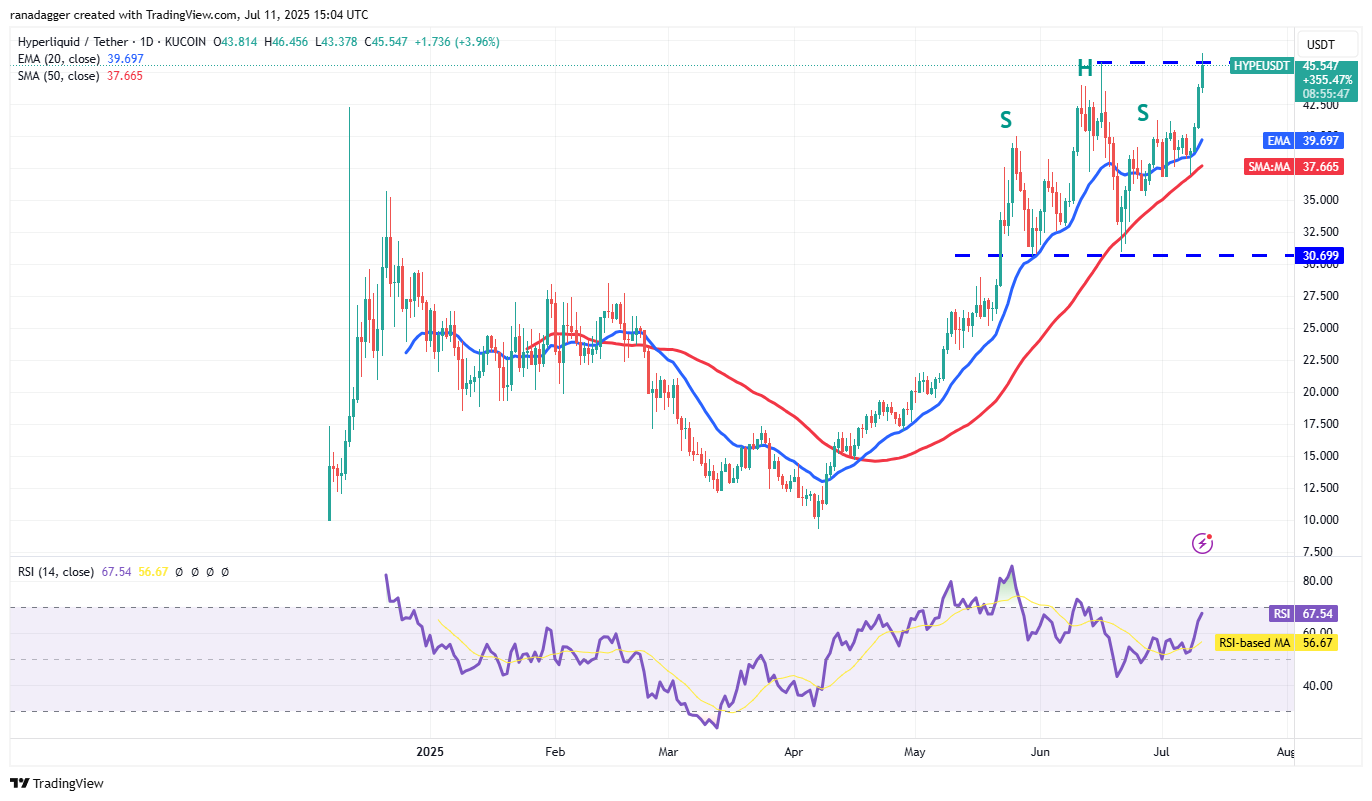 chart-5