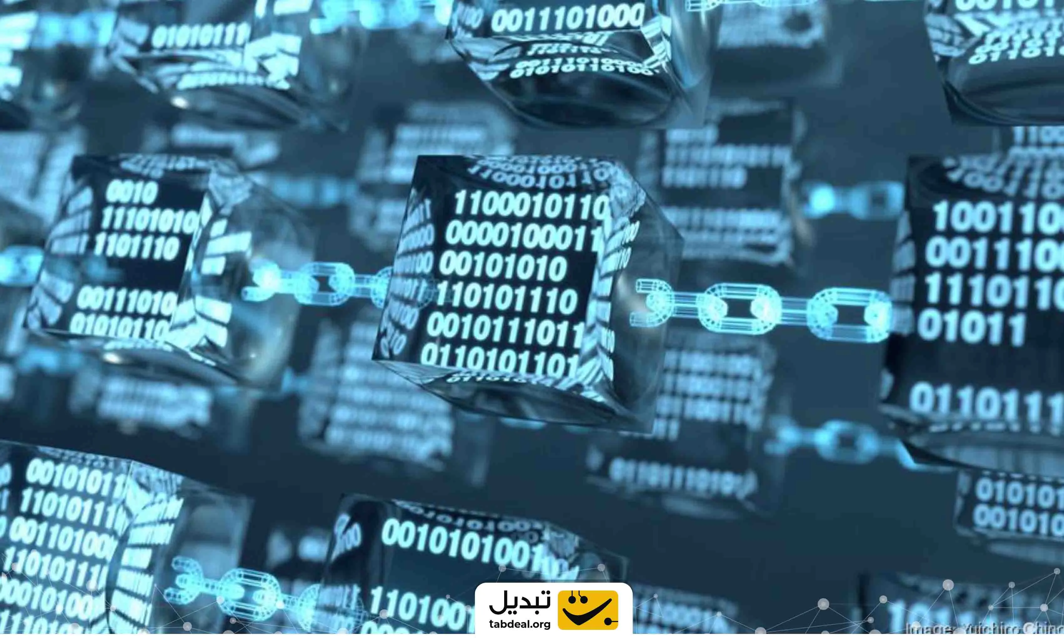 شرکت مولتی کوین کپیتال چیست؟