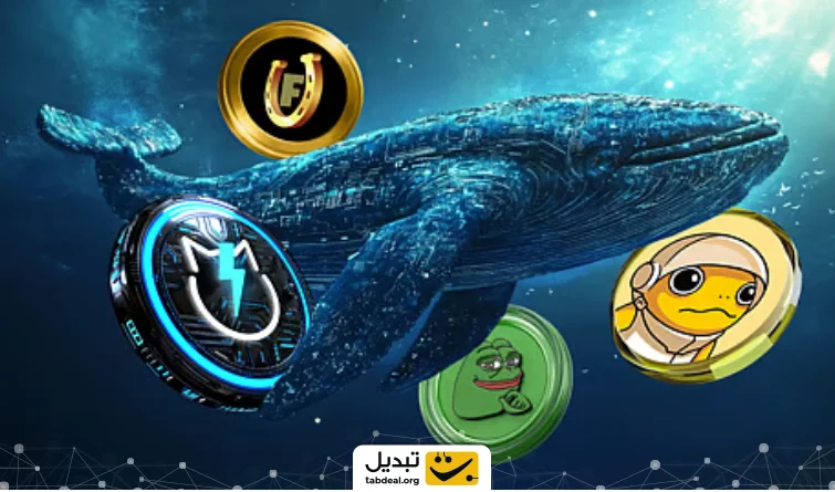 نهنگ ها چه میم کوینی می خرند؟
