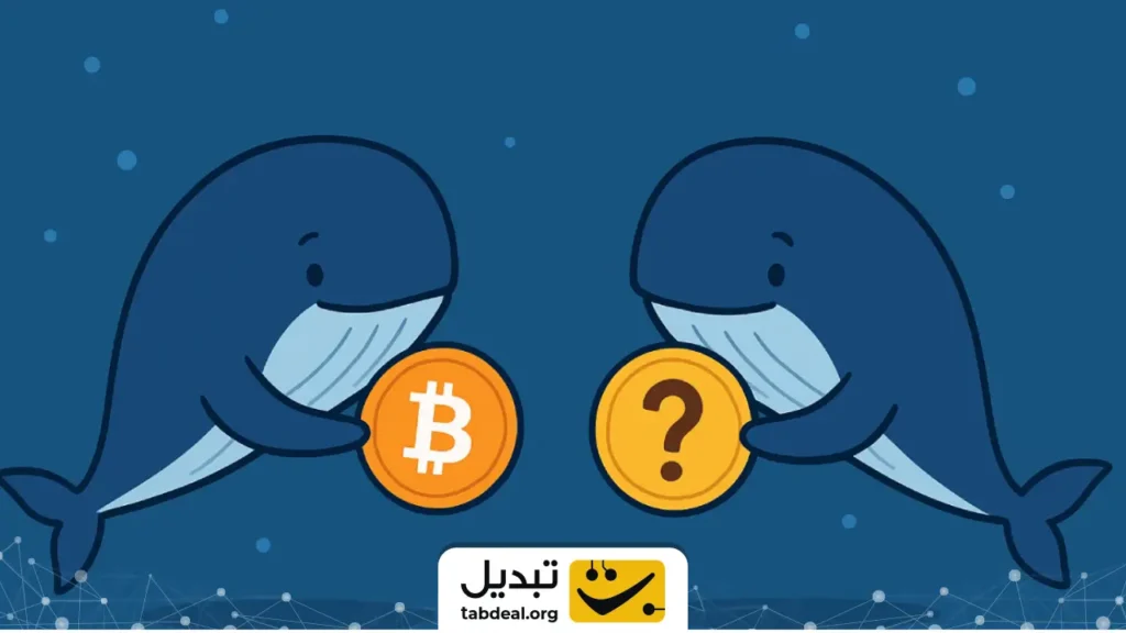 نهنگ‌های بیت ‌کوین برای خرید این ارز دیجیتال صف کشیدند
