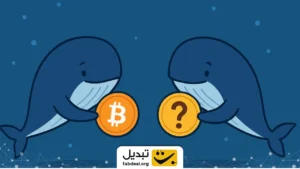 نهنگ‌های بیت ‌کوین برای خرید این ارز دیجیتال صف کشیدند