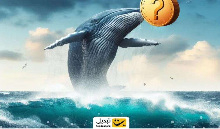 نهنگ ها چه میم کوینی می خرند؟