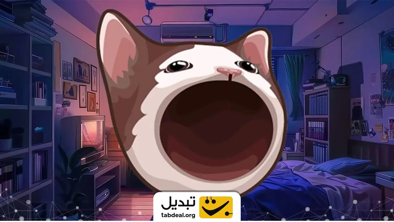 فهرست مسخرهترین میمکوینها + قیمت امروز