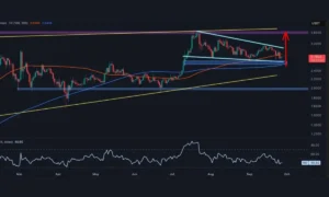 آلت کوین مشهور در نقطه سرنوشت‌ساز