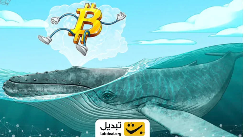 بزرگترین فروش نهنگهای بیتکوین از ۲۰۲۲: حالا چه میشود؟