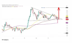 منتظر رالی صعودی این ارز در ماه جدید باشید