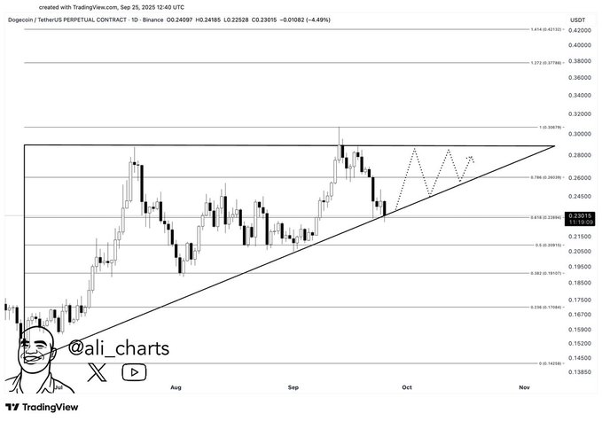 RSI ماهانه این میم ‌کوین محبوب از یک حرکت عظیم دیگر در آینده خبر می‌دهد