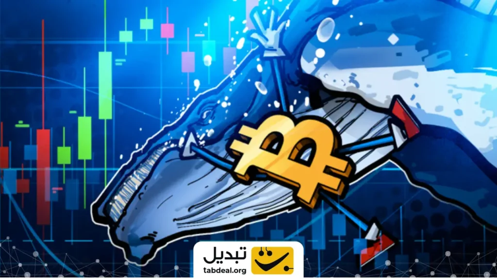 نهنگ بزرگ دوباره روی ریزش سرمایه‌گذاری کرد