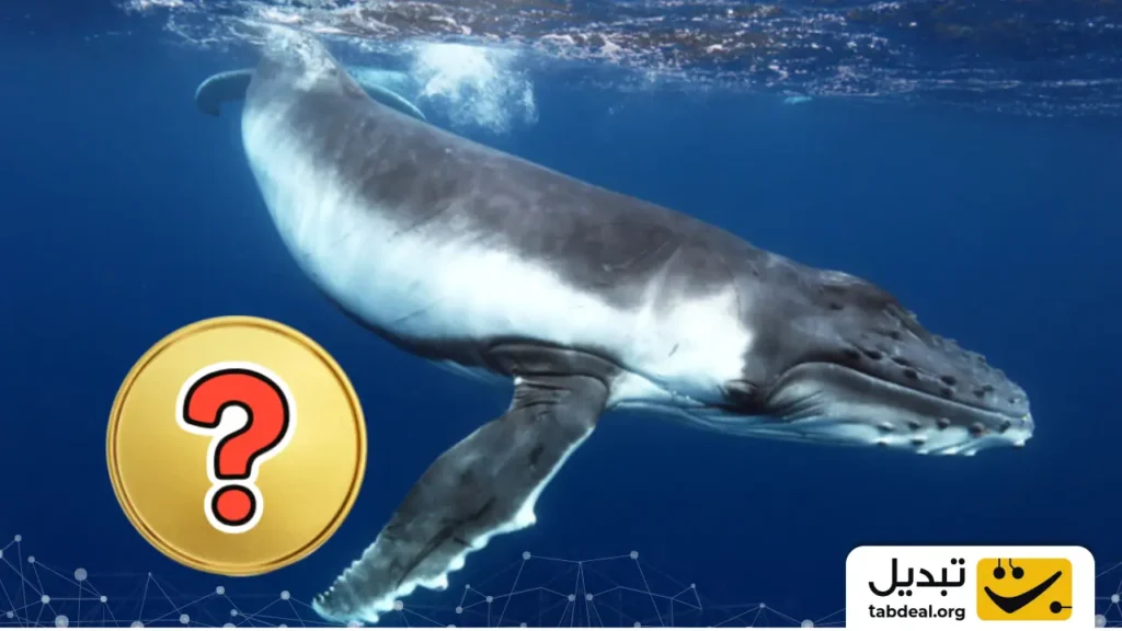 جنگ نهنگها: نبرد گاوها و خرسها برای کنترل بازار پلتفرم این آلت کوین