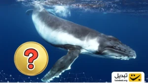 جنگ نهنگها: نبرد گاوها و خرسها برای کنترل بازار پلتفرم این آلت کوین