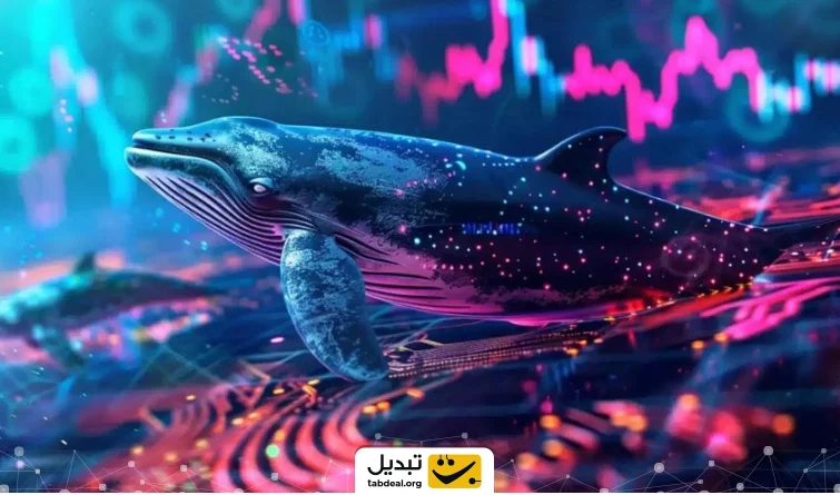 خریدهای این هفته نهنگ‌ها