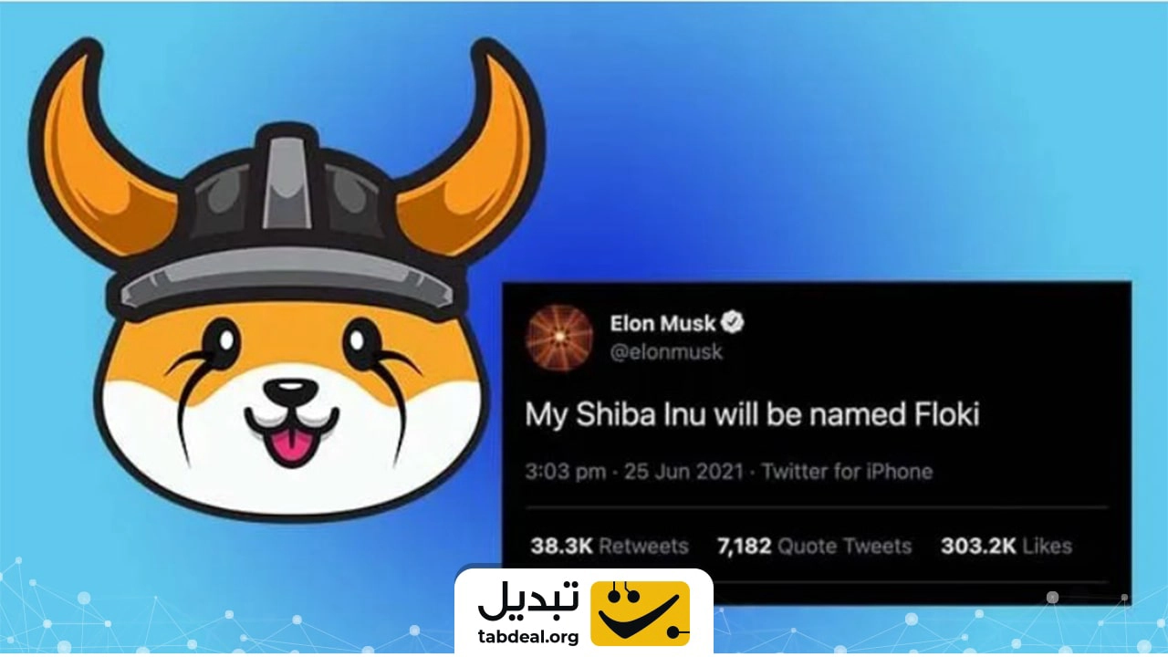 ارز دیجیتال فلوکی چیست؟