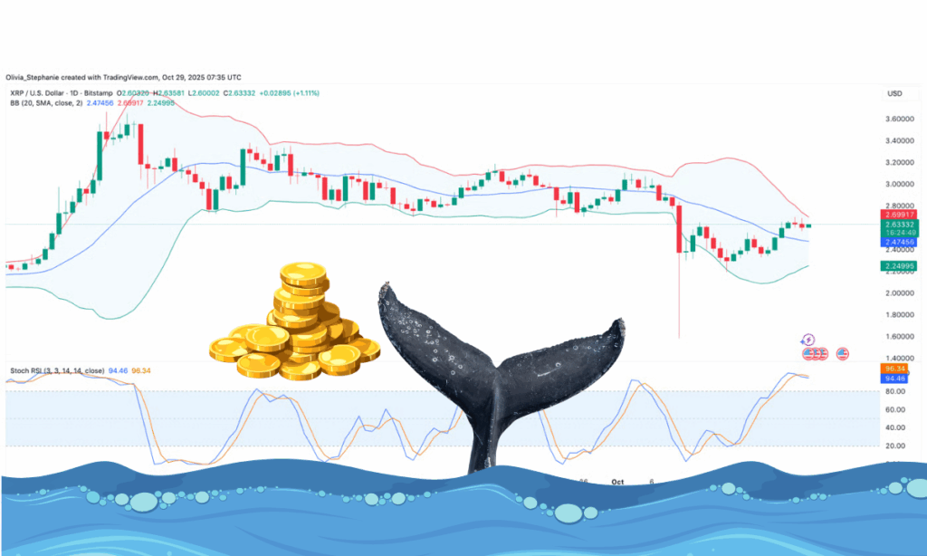 نهنگها ۱۴۰،۰۰۰،۰۰۰ توکن این آلت کوین را فروختند