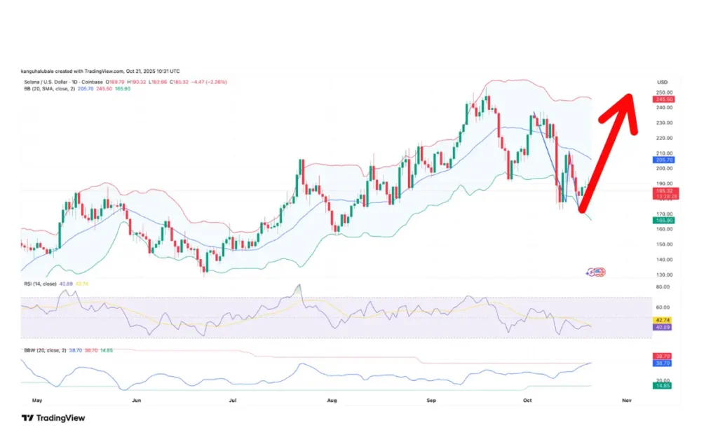 این آلت کوین آماده جهش ۱۴۰ درصدی