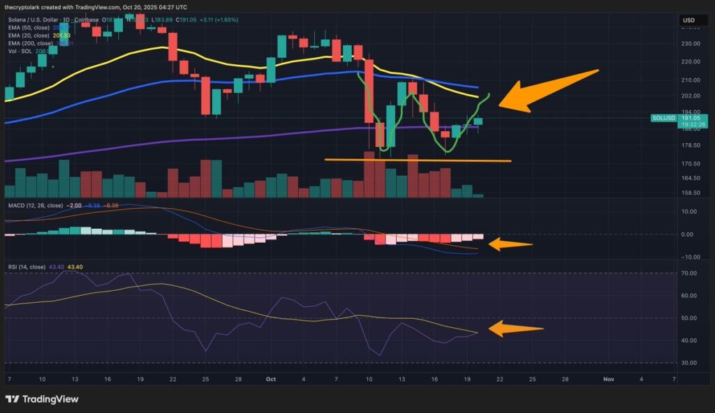 این آلت کوین آماده جهش ۱۴۰ درصدی