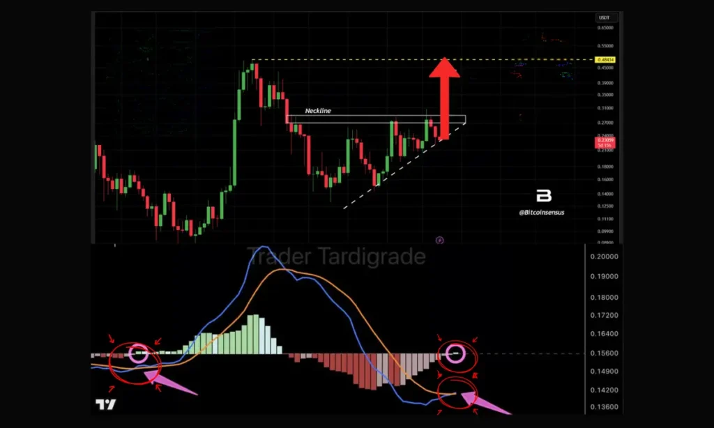 تقاطع طلایی MACD در میم کوین محبوب