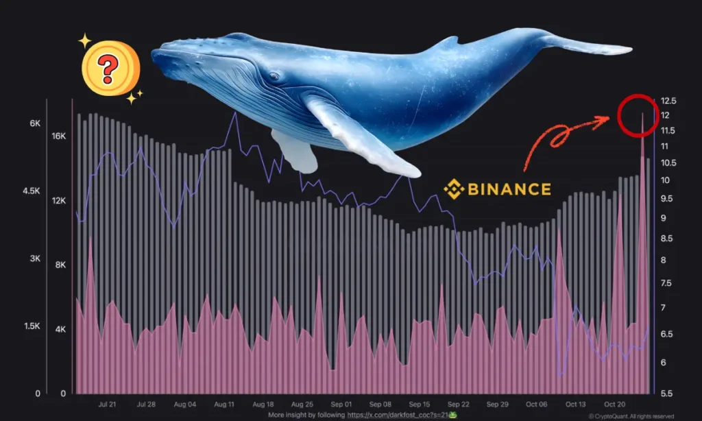 خرید سنگین نهنگهای بایننس