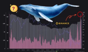 خرید سنگین نهنگهای بایننس