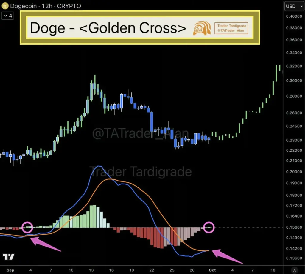 تقاطع طلایی MACD در میم کوین محبوب