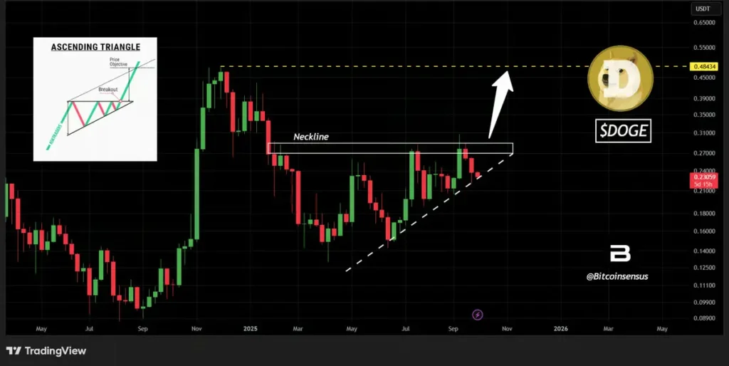 تقاطع طلایی MACD در میم کوین محبوب