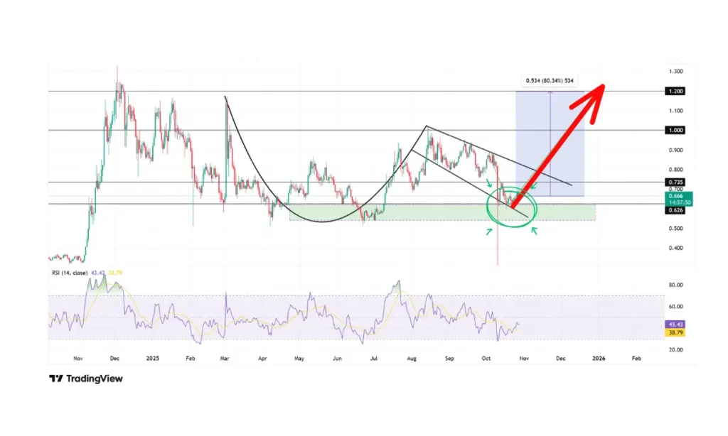 احتمال صعود ۸۰ درصدی آلت کوین شناخته شده