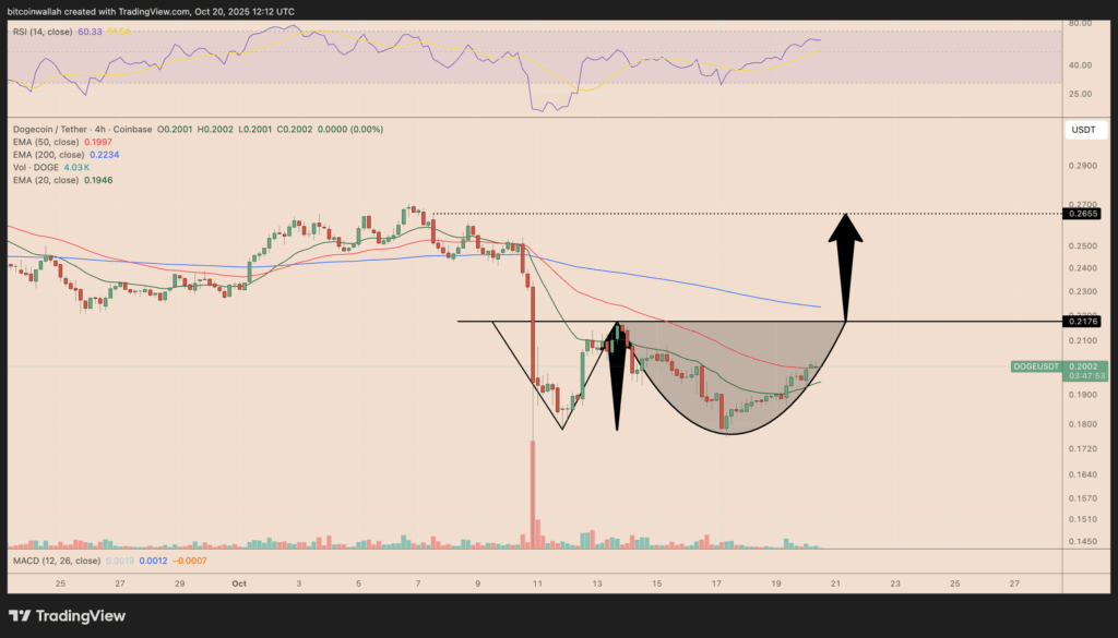 توییت رمزآلود ایلان ماسک: میم کوین محبوب آماده جهش ۲۵ درصدی