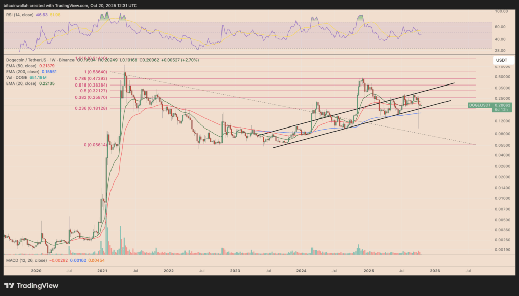 توییت رمزآلود ایلان ماسک: میم کوین محبوب آماده جهش ۲۵ درصدی