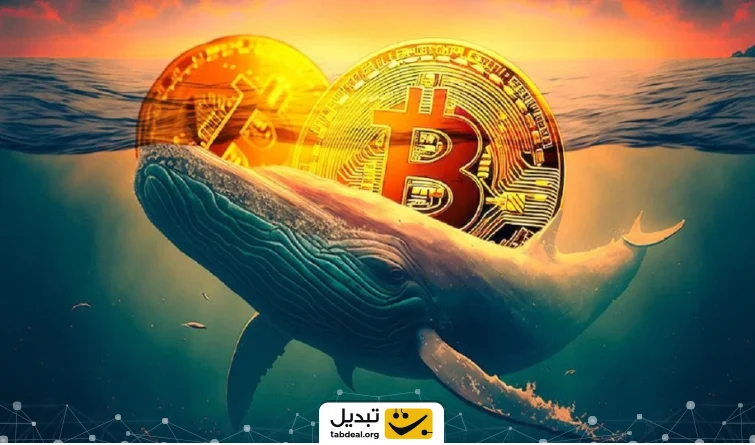 خریدهای این هفته نهنگ‌ها