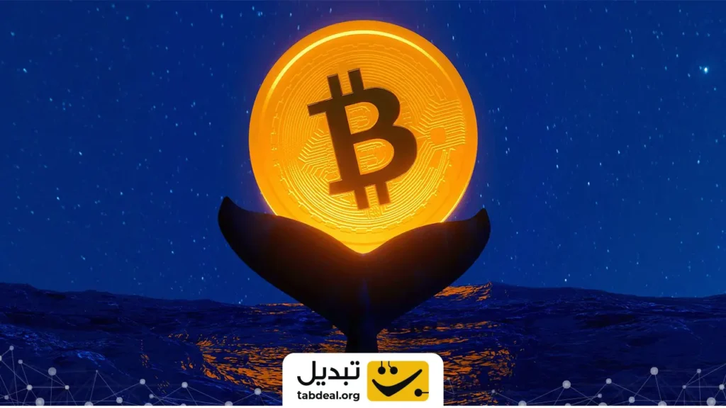 محبوبترین ارزها از نگاه نهنگها