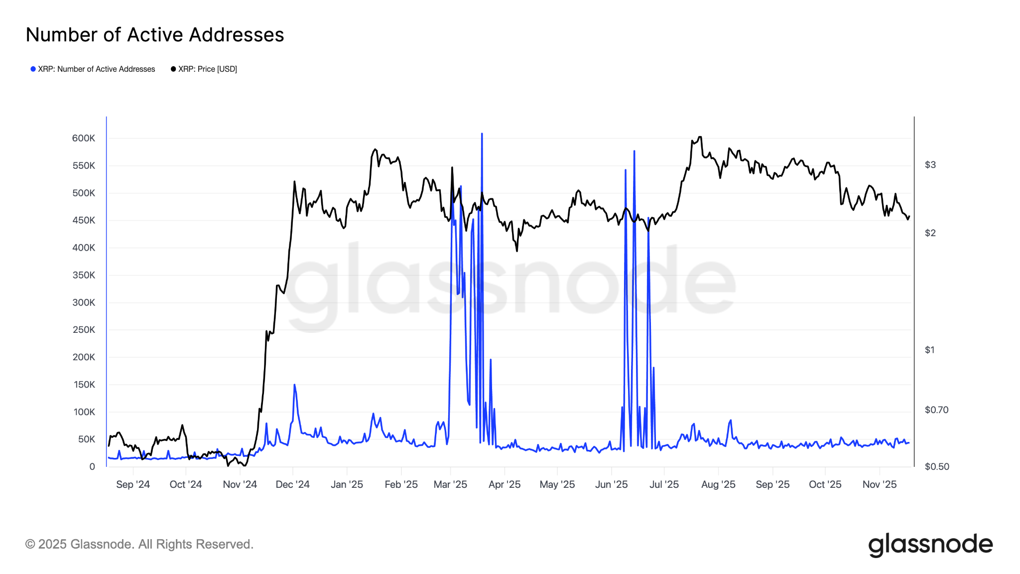 فعالیت روزانه ریپل
