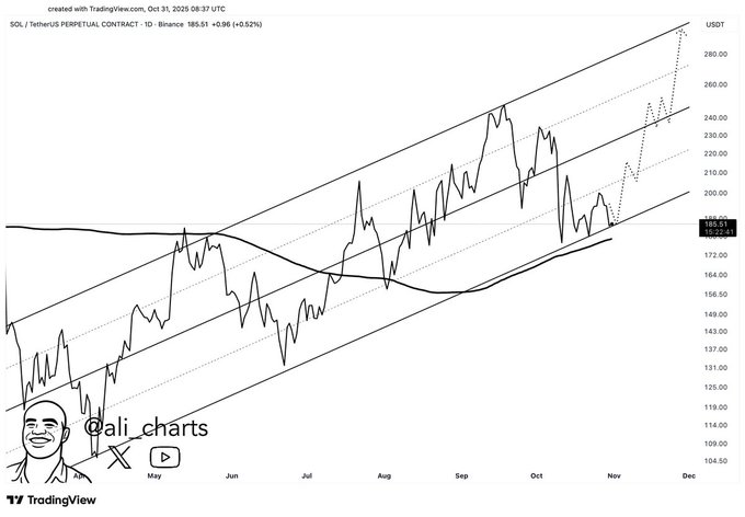 منطقه خرید آلت کوین مشهور پیش از جهش احتمالی